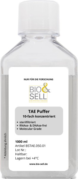 TAE Puffer (10-fach konzentriert), 1 Liter