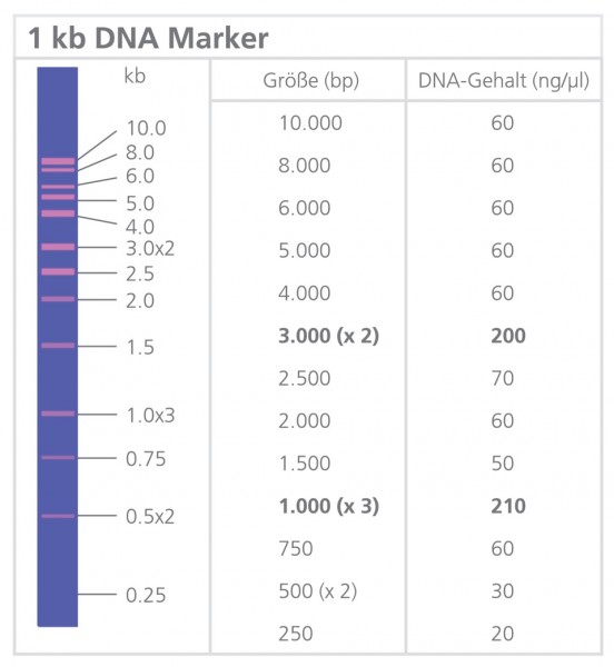 Marcatore di DNA da 1kb precolorato "pronto per il caricamento", 250 µg