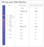 100 bp plus DNA-Marker ohne Ladepuffer, 250 µg