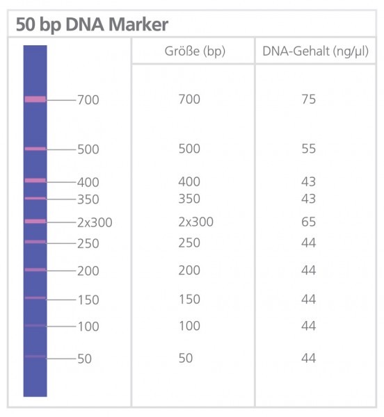 Marcador de ADN de 50 pb sin tampón de carga, 50 µg